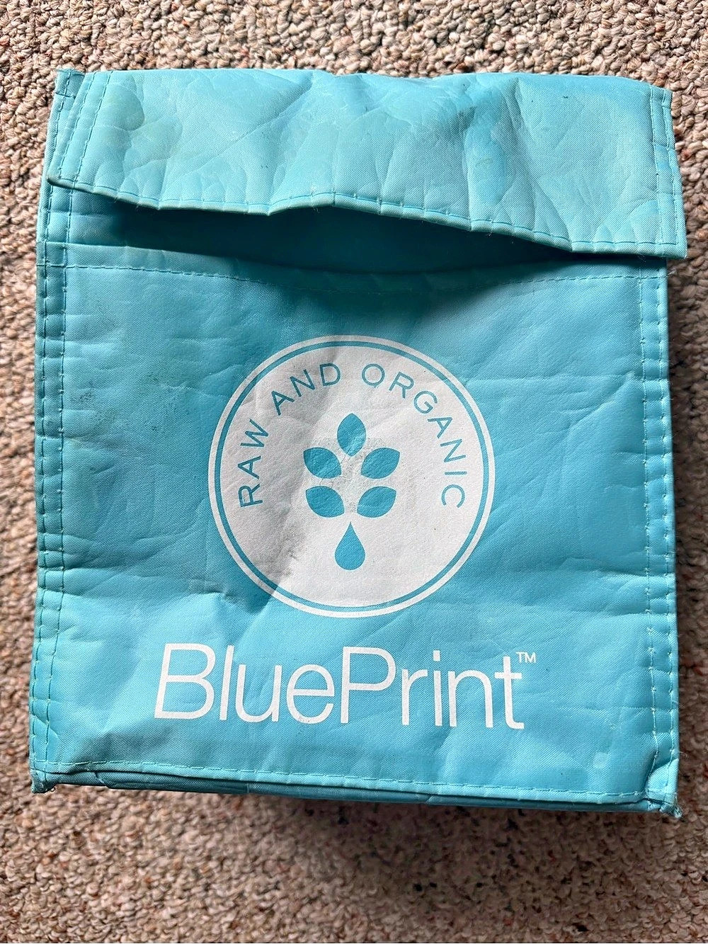 GUC BluePrint Reusable Work Lunch Tote Bag Light Blue ID Handle Knapsack Insulat